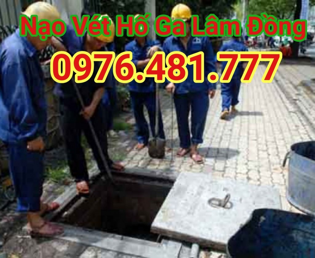 nao-vet-ho-ga-lam-dong