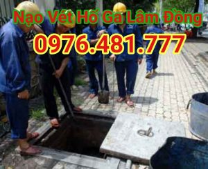 nao-vet-ho-ga-lam-dong