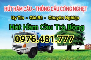 hut-ham-cau-huyen-tra-bong