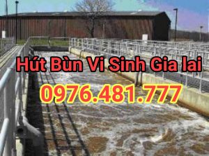 hut-bun-vi-sinh-gia-lai