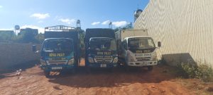 hut-ham-cau-phuong-tay-son